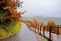 Formosan Sweet GumÃ£â¬ÂFragrant MapleÃ£â¬ÂBeautiful Sweetgum